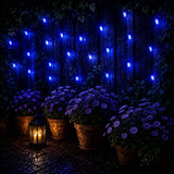 String lights hanging above potted plants with a candle lantern on a dark background