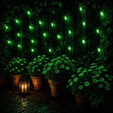 String lights hanging above potted plants with a lantern in the dark