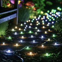 100 LED Solar Fairy Lights