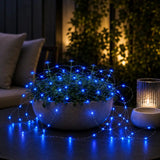 Potted plant with blue LED solar string lights on a table at night