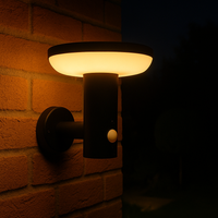 Infiniti Black Solar Wall Light