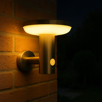 Infiniti Silver Solar Wall Light