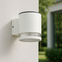 Ring White Solar Wall Light