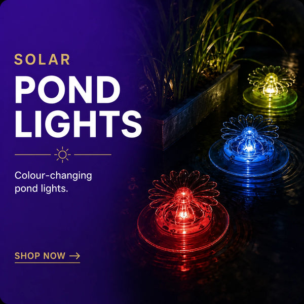 solar pond lights 
