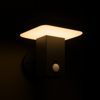 Tabeta Black Solar Wall Light