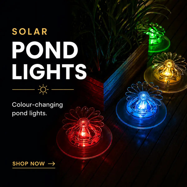 Colour-changing solar pond lights floating on a garden pond at night