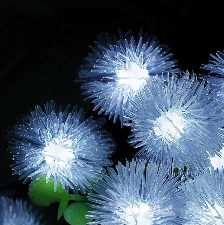 30 Bright White LED Dandelion Solar Fairy Lights