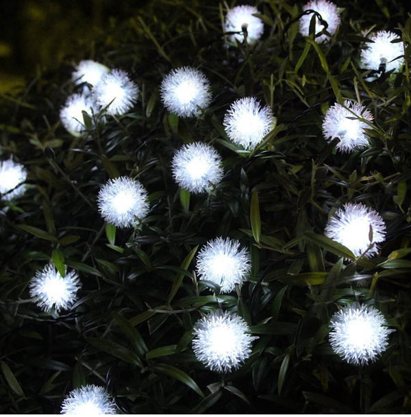 30 Bright White LED Dandelion Solar Fairy Lights