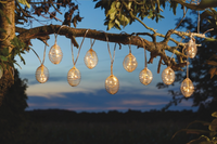 Spiral Solar Fairy Lights - 50 Warm White LEDs