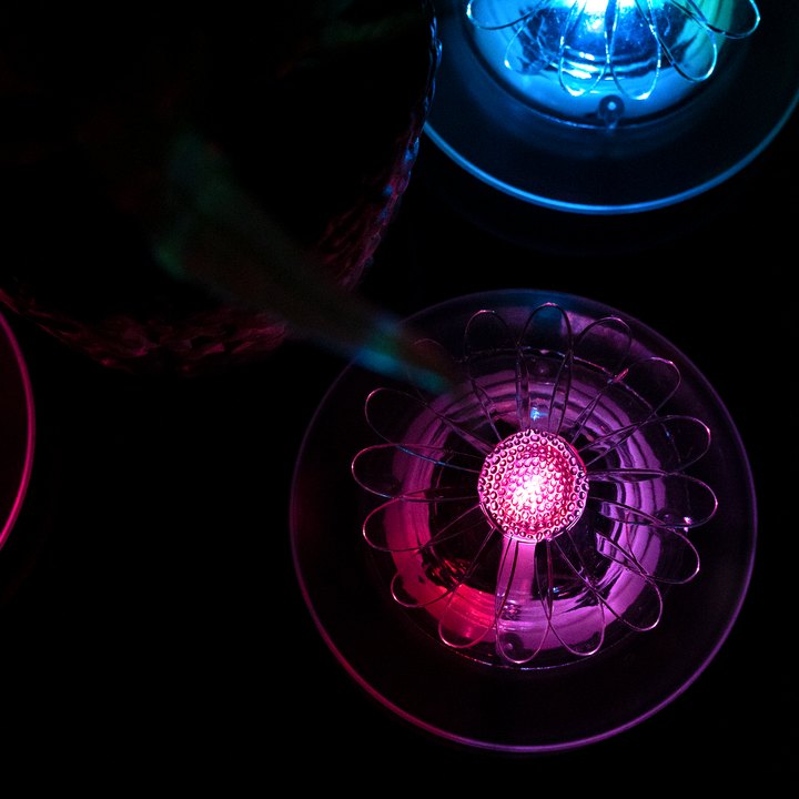 Floating Blossom Solar Lights - Set of 4 with Colour-Changing LED