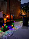 100 Multi-Colour LED Dragonfly Solar Fairy Lights