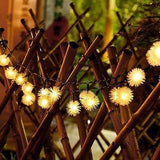 30 Warm White LED Dandelion Solar Fairy Lights