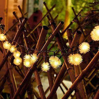 Dandelion Solar Fairy Lights - 30 Warm White LEDs